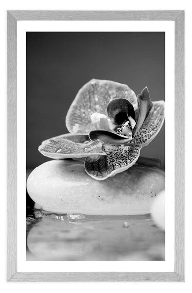 Poszter paszpotuval orchidea és Zen kövek fekete-fehérben