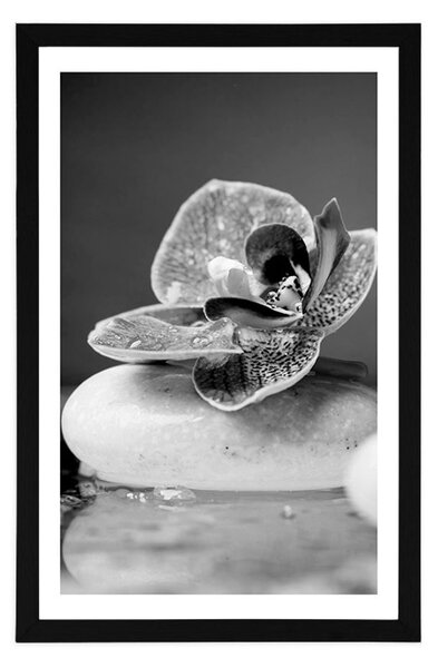 Poszter paszpotuval orchidea és Zen kövek fekete-fehérben