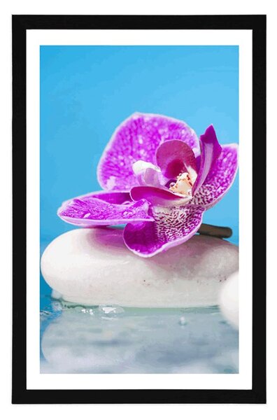 Poszter paszportuval orchidea Zen kövek