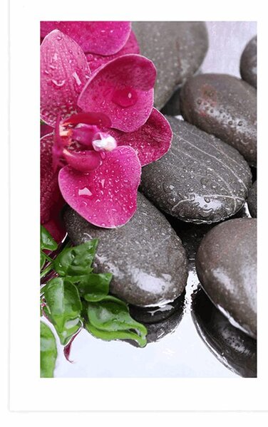 Poszter paszportuval virágzó orchidea wellness kövekkel