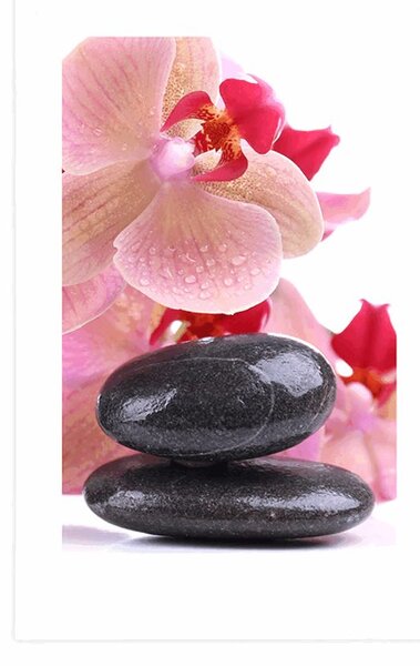 Poszter paszportuval SPA kövek és orchidea