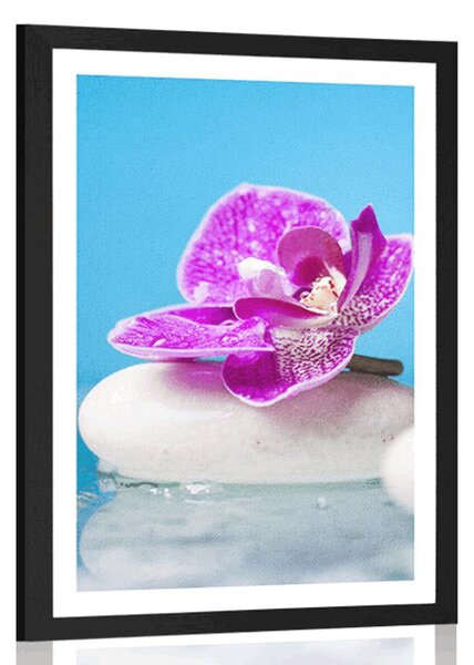Poszter paszportuval orchidea Zen kövek