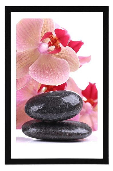 Poszter paszportuval SPA kövek és orchidea