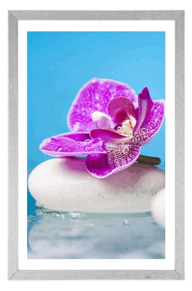 Poszter paszportuval orchidea Zen kövek