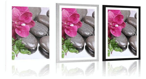 Poszter paszportuval virágzó orchidea wellness kövekkel