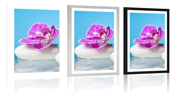 Poszter paszportuval orchidea Zen kövek