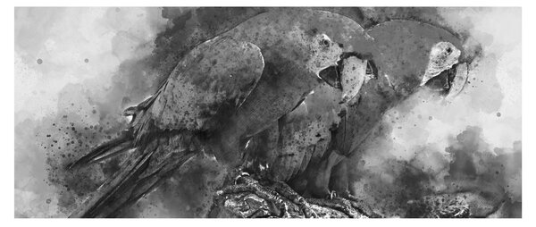 Kép - Akvarell papagájok (120x50 cm)