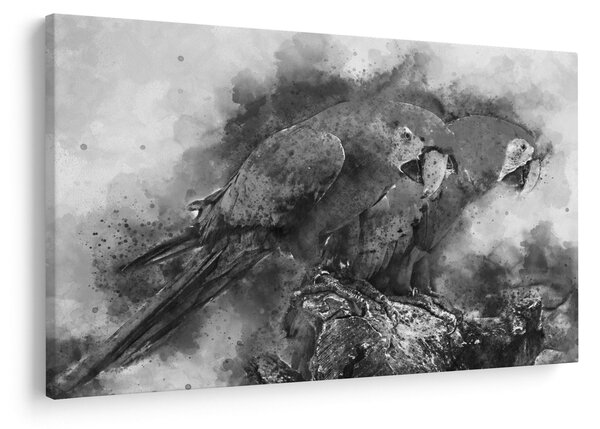 Kép - Akvarell papagájok (90x60 cm)