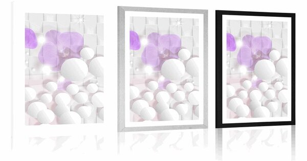 Poszter paszportuval orchidea absztrakt háttéren