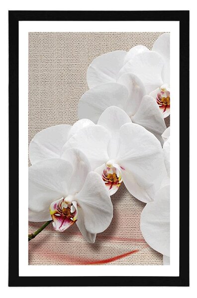 Poszter paszportuval fehér orchidea vásznon