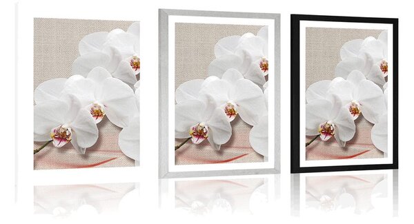 Poszter paszportuval fehér orchidea vásznon