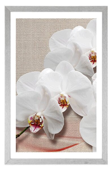 Poszter paszportuval fehér orchidea vásznon