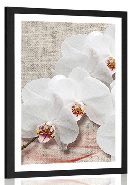 Poszter paszportuval fehér orchidea vásznon