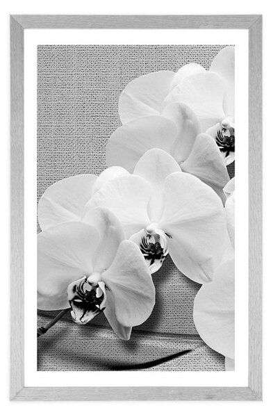 Poszter paszsportuval orchidea vásznon fekete fehérben