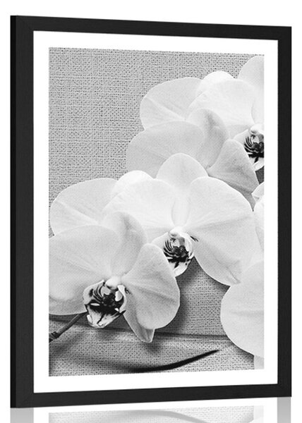 Poszter paszsportuval orchidea vásznon fekete fehérben