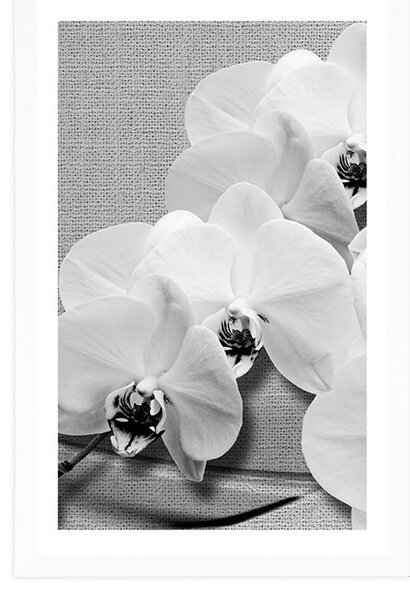 Poszter paszsportuval orchidea vásznon fekete fehérben