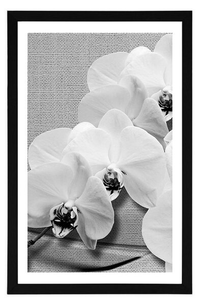 Poszter paszsportuval orchidea vásznon fekete fehérben