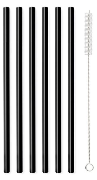6 db-os fekete üveg szívószál készlet, hosszúság 20 cm - Vialli Design