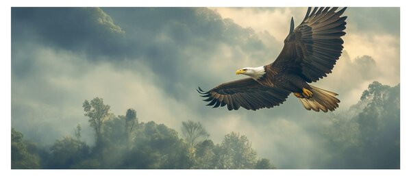 Kép - Repülő sas (120x50 cm)