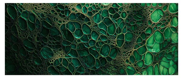 Kép - Zöld mikroszkópos kép (120x50 cm)