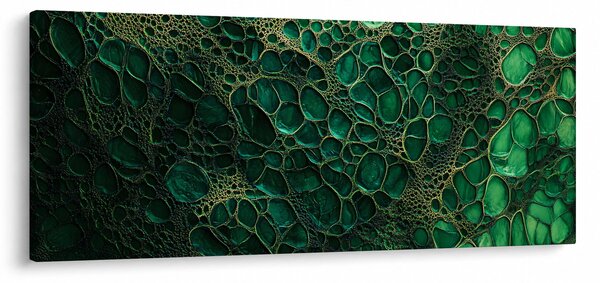 Kép - Zöld mikroszkópos kép (120x50 cm)