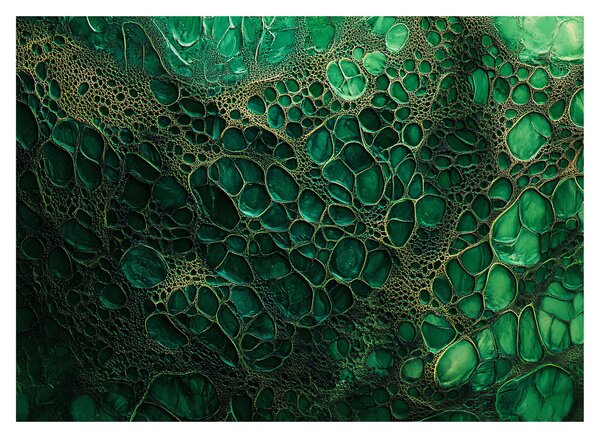 Kép - Zöld mikroszkópos kép (70x50 cm)