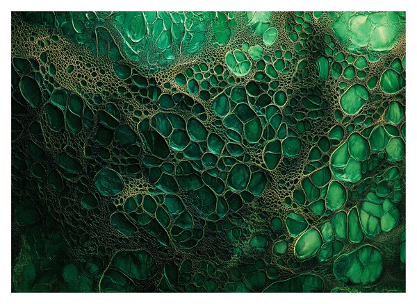 Üveg kép - Zöld mikroszkópos Üveg kép (70x50 cm)