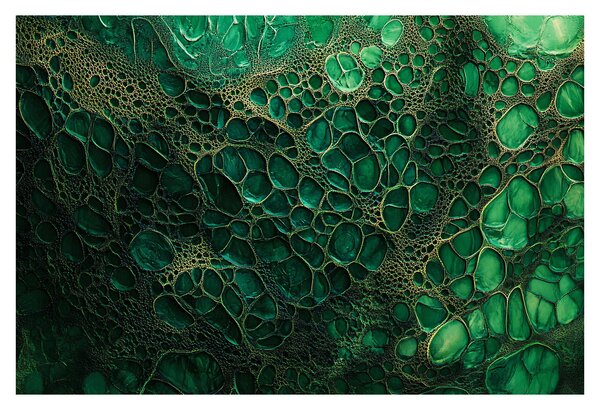 Kép - Zöld mikroszkópos kép (90x60 cm)