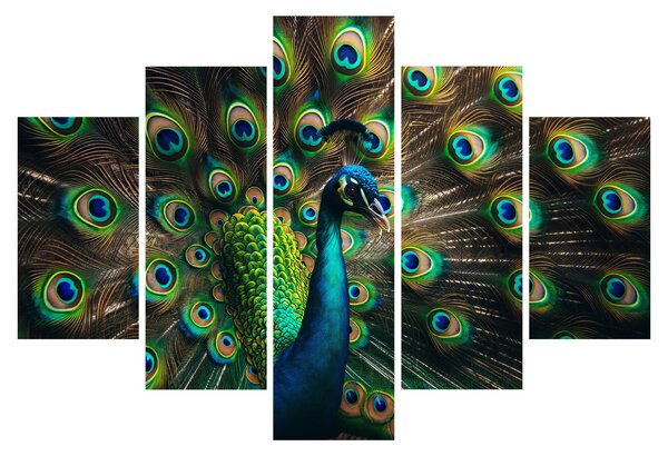 Kép – Pávatoll (150x105 cm)