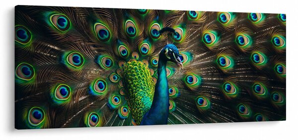 Kép – Pávatoll (120x50 cm)