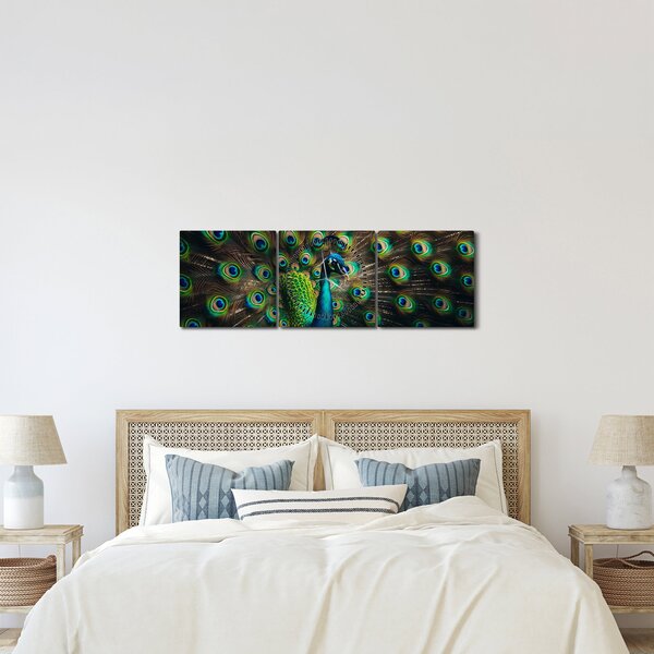 Kép – Pávatoll (órával) (90x30 cm)