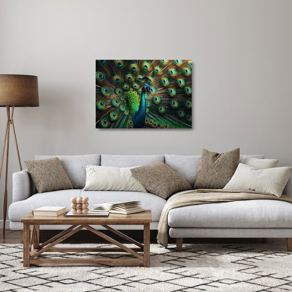 Üveg kép – Pávatoll (70x50 cm)