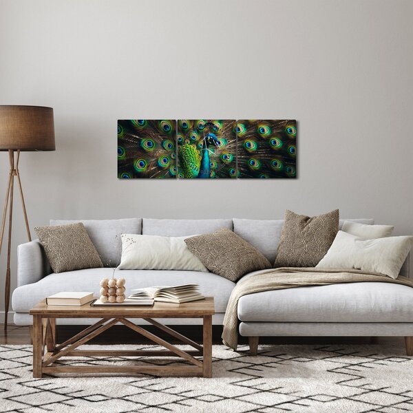 Kép – Pávatoll (órával) (90x30 cm)