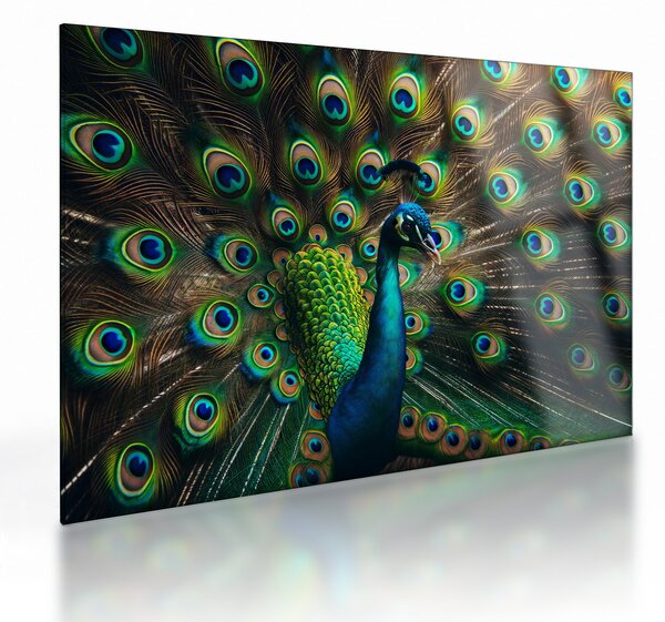 Üveg kép – Pávatoll (70x50 cm)