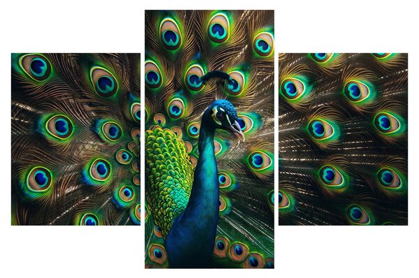 Kép – Pávatoll (90x60 cm)