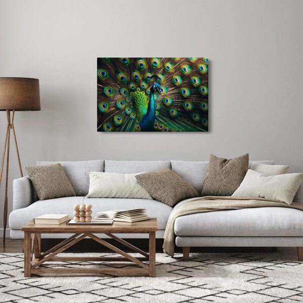 Kép – Pávatoll (90x60 cm)