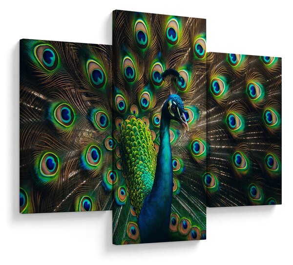 Kép – Pávatoll (90x60 cm)