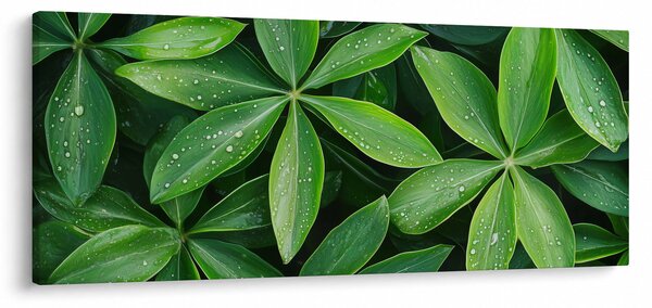Kép - Levelek harmatcseppekkel (120x50 cm)