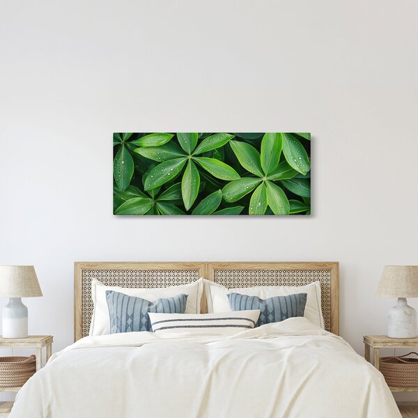 Kép - Levelek harmatcseppekkel (120x50 cm)