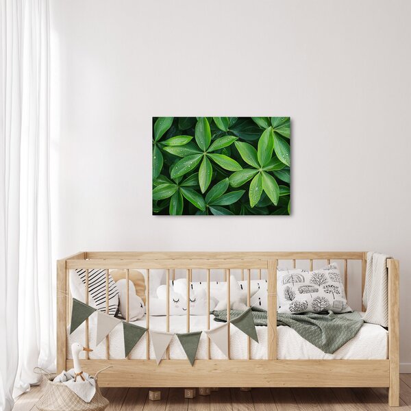 Kép - Levelek harmatcseppekkel (70x50 cm)