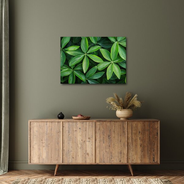 Kép - Levelek harmatcseppekkel (70x50 cm)