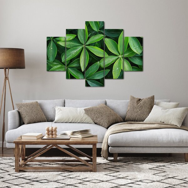 Kép - Levelek harmatcseppekkel (150x105 cm)