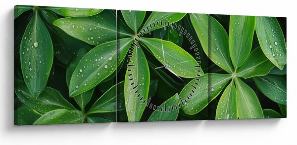 Kép - Levelek harmatcseppekkel (órával) (90x30 cm)