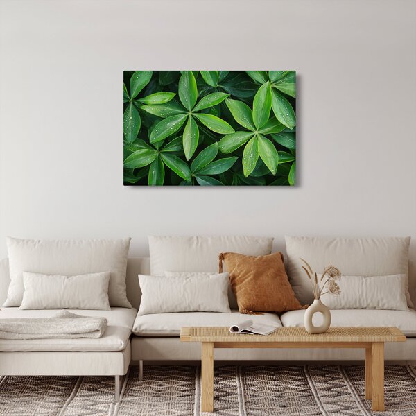 Kép - Levelek harmatcseppekkel (90x60 cm)