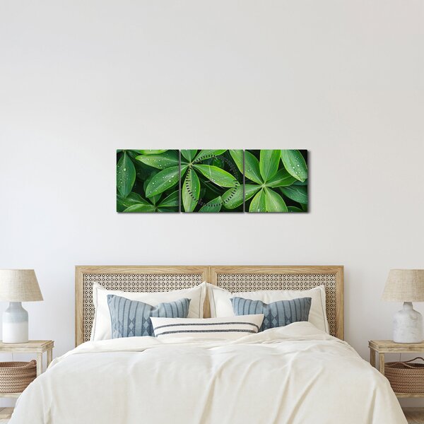 Kép - Levelek harmatcseppekkel (órával) (90x30 cm)