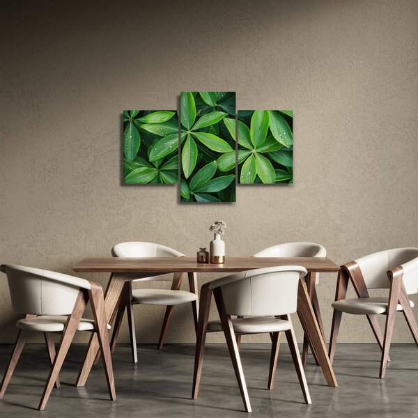 Kép - Levelek harmatcseppekkel (90x60 cm)