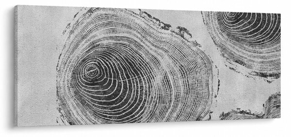 Kép - Fa motívum (120x50 cm)