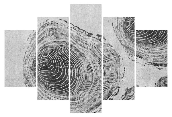 Kép - Fa motívum (150x105 cm)