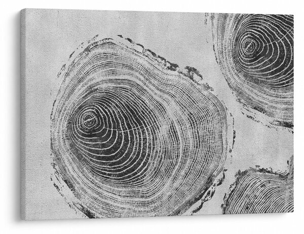 Kép - Fa motívum (70x50 cm)