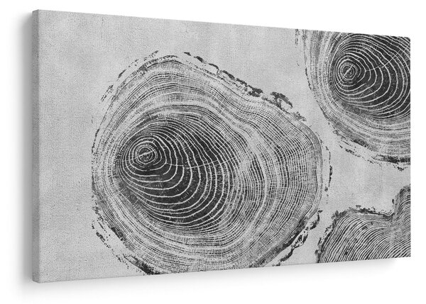 Kép - Fa motívum (90x60 cm)